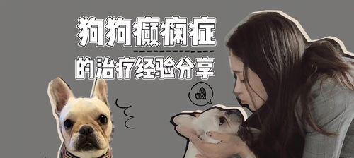 宠物以法斗肚子抽搐，该如何应对？（教你如何识别以法斗肚子抽搐的症状、原因和应急处理）