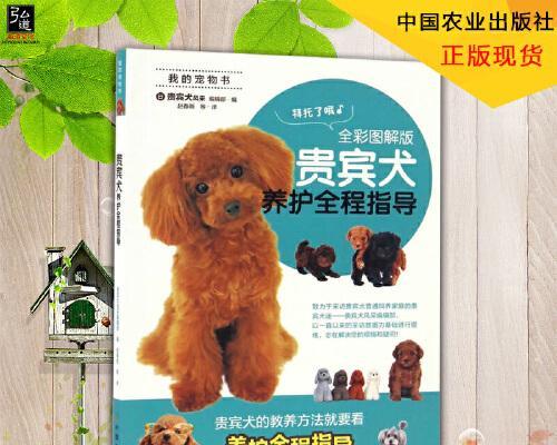 贵宾犬的冬季护理（让你的贵宾犬在冬天健康快乐度过）