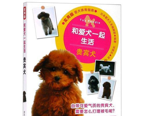 贵宾犬训练秘籍（从零开始，轻松训练你的贵宾犬）