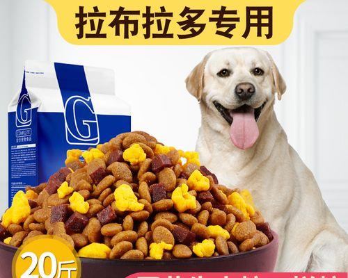 拉布拉多犬补钙要适量（宠物养护，营养不可忽视）