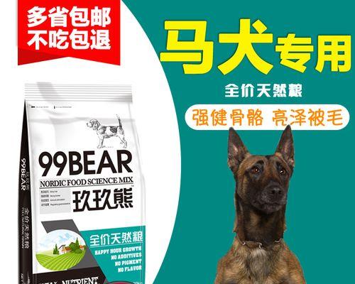 马犬缺钙应该注意什么？马犬缺钙怎么办？（马犬缺钙应该注意什么？马犬缺钙怎么办？）