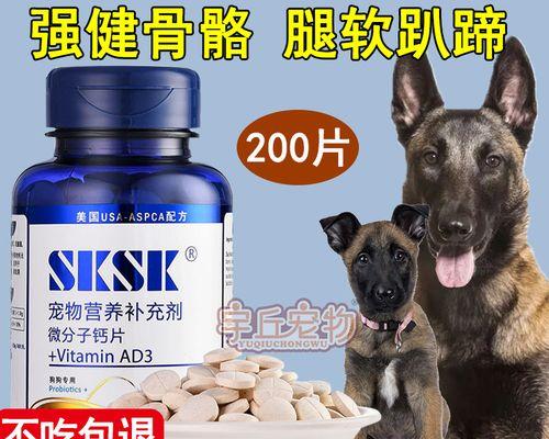 宠物以马犬缺钙的变现及预防方法（了解宠物缺钙的表现，做好预防措施）