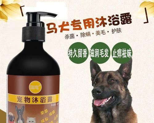 宠物感冒了怎么办？（以马犬洗澡感冒为例，详解宠物感冒的症状、预防和治疗方法。）