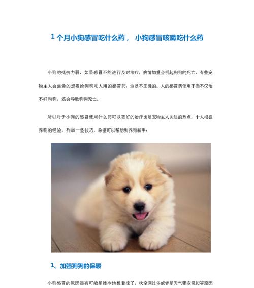 圣伯纳患皮肤病，如何治疗？（宠物犬的皮肤病原因和治疗方法）