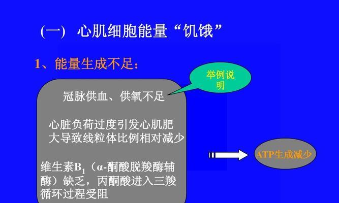 探讨宠物圣伯纳心脏疾病（保护我们的毛茸茸家庭成员）