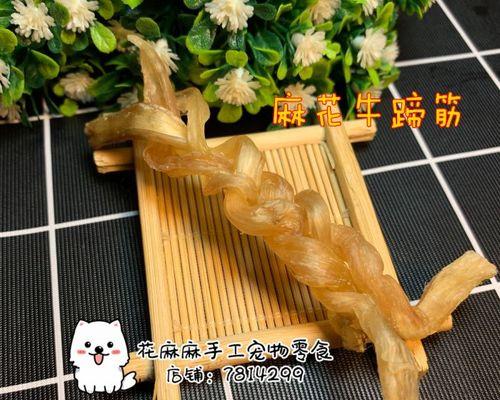 贵宾犬双排牙处理方法详解