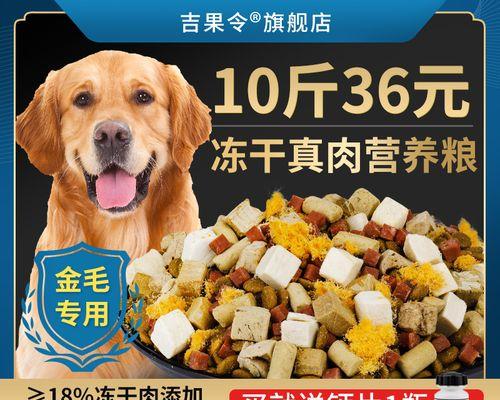 金毛犬补钙全攻略（从宝宝到成犬，逐步补钙，让金毛健康成长）