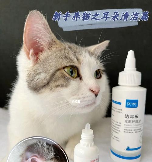 猫咪耳朵清洁指南（如何正确、安全地为宠物猫清理耳朵）