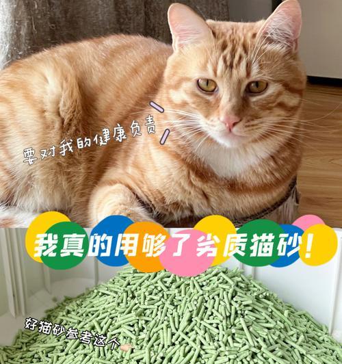 如何训练猫咪使用猫砂（让你的猫咪远离不文明行为）