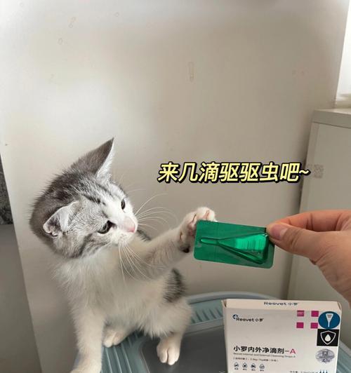 猫咪不驱虫会影响食欲吗？探究驱虫的必要性（宠物爱好者必看！猫咪的身体健康离不开驱虫！）