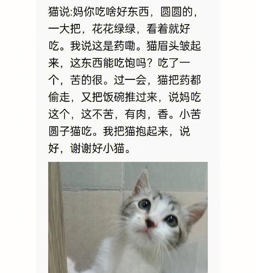 猫咪的饮食习惯与性格（猫咪吃饱了就变得不亲人了吗？-宠物主人必读）