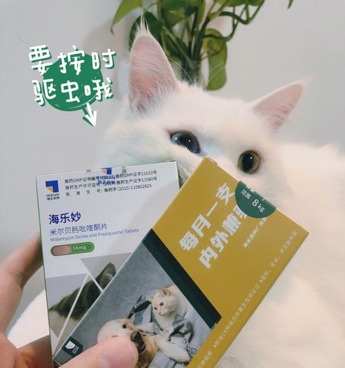 猫咪舔除虫药后的反应，如何应对（宠物主人必读，猫咪健康的小窍门）