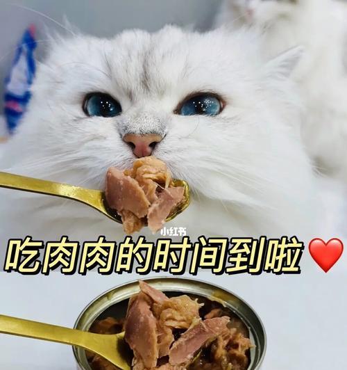 小猫吃罐头的利弊分析（一月一罐肉，宠物主人的选择犹豫）