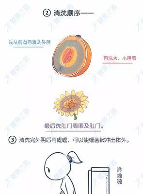 如何有效给金毛狗狗除蚤（宠物护理小技巧）