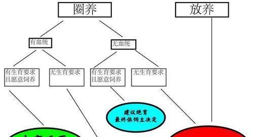 狗狗绝育知识详解（宠物健康必备，让狗狗远离疾病）