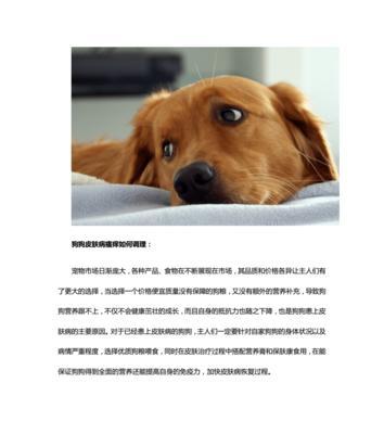 狗狗护理常见疑问解答（解答宠物主人的15个问题，让狗狗更健康）