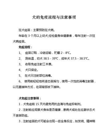 如何用腊肠犬训练宠物？（以腊肠犬为例，掌握训练技巧）