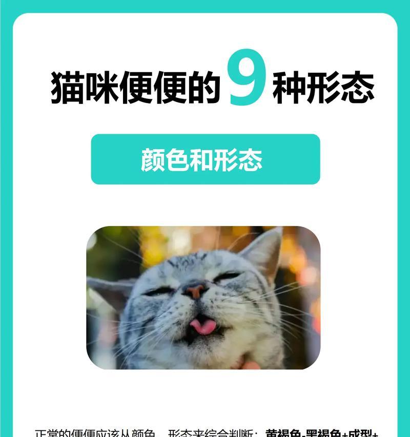 小猫为什么大便黄？（探究小猫大便黄的原因与应对方法）