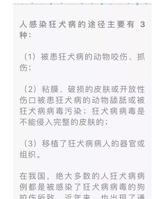 小狗为什么会拉稀？（探究小狗拉稀的原因和应对方法，让您的宠物健康无忧）