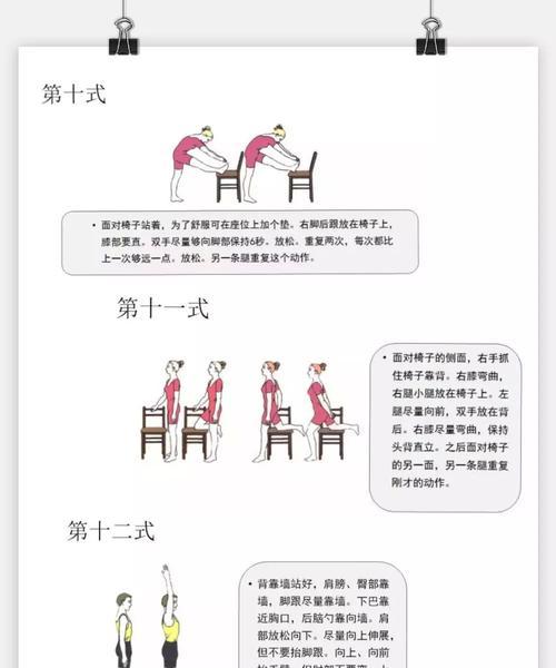 如何训练一只金毛犬（从基础训练到高级技巧，让你的金毛成为最优秀的伴侣犬）