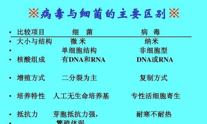 以斑尾凤凰为宠物的全面饲养指南（学习如何照顾你的宠物斑尾凤凰，让它健康快乐生活）