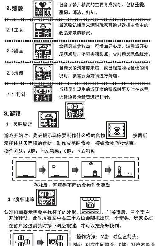 银狐兔的饲养方法（掌握银狐兔的喂养、环境和健康管理）