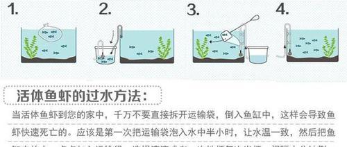 钟纹折背陆龟的饲养指南（打造一个舒适健康的家园，从这里开始）