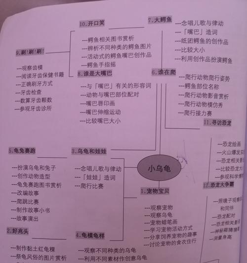 斑纹泥龟的饲养方法（科学饲养，打造健康龟宠）