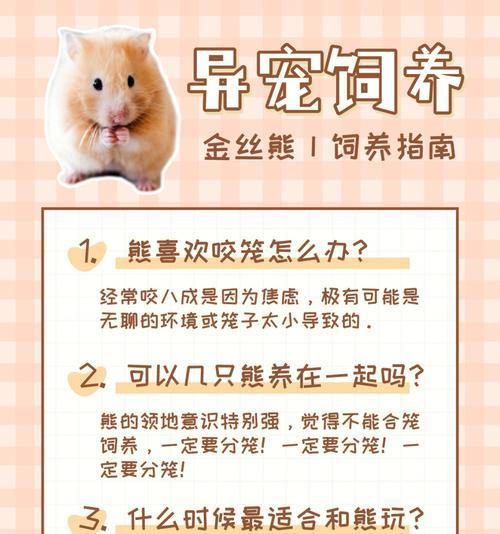 如何饲养健康快乐的阿比西尼亚猫（了解阿比西尼亚猫的习性和养护需求，让您的爱宠健康快乐）