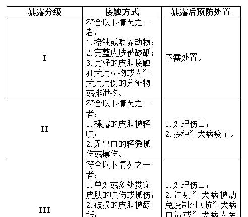 波兰兔饲养指南（以宠物为主的养殖经验分享）