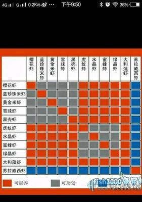 玫瑰鲫的饲养方法详解（从选种到日常养护，一步步教你打造优质玫瑰鲫养殖场）