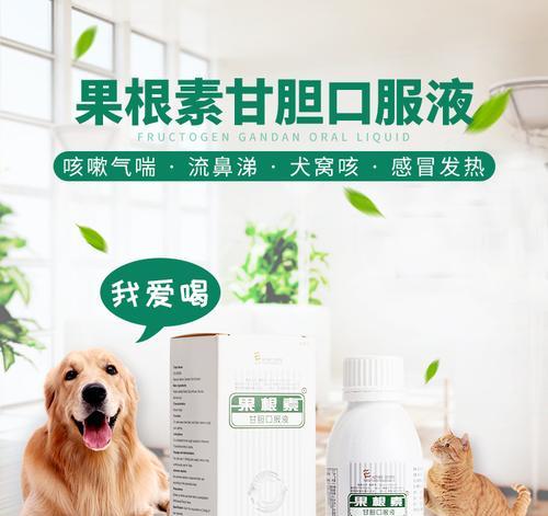 犬窝咳治疗全攻略（以宠物为主，关爱毛孩的健康）