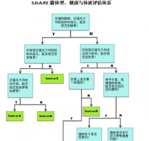 粗毛兔的全面饲养方法（做好干湿饲料搭配关注环境卫生）