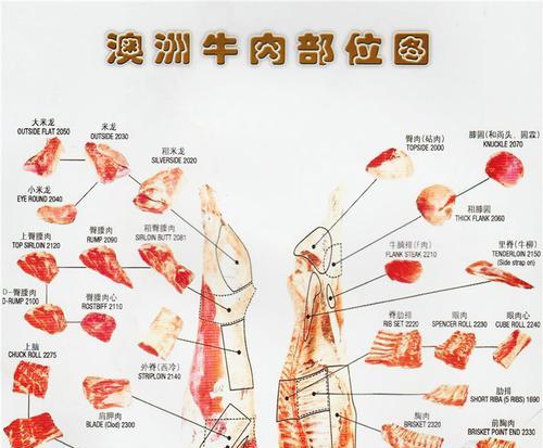 牛头獒的饲养方法与注意事项（健康饮食、适宜环境、合理训练）