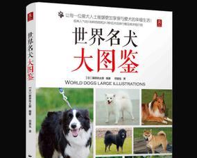 以新斯科舍猎鸭犬为宠物的饲养方法（了解新斯科舍猎鸭犬的特点，养护宠物健康）