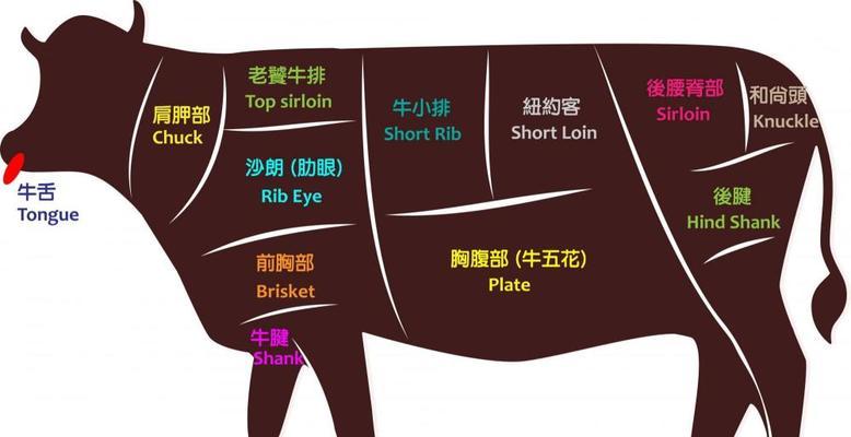 牛头獒饲养全攻略（打造健康、快乐的獒犬生活）