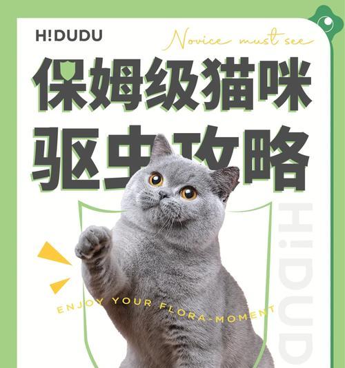 新家猫咪必备（宠物健康从驱虫开始，为爱宠送上健康保障）