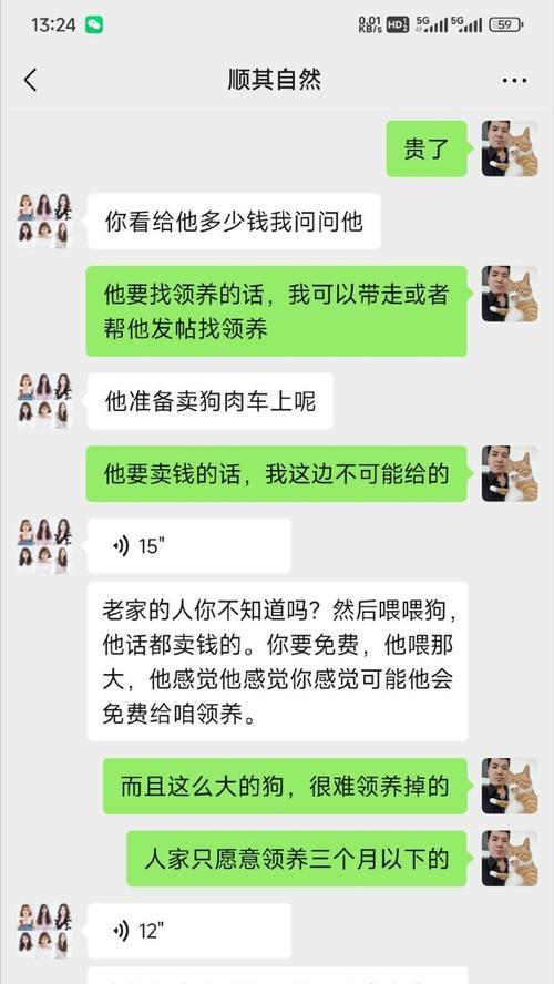 如何养好一只金毛犬？（赛级金毛价格及养护攻略）