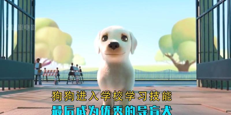 狗狗成为导盲犬的必备条件（为什么狗狗能成为导盲犬？需要具备哪些条件？）