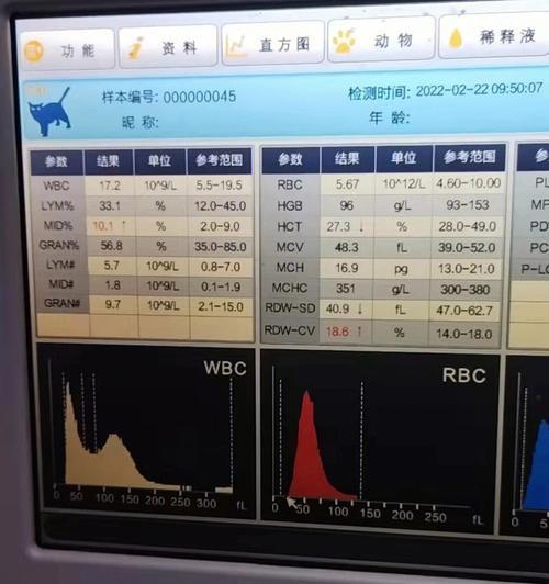 家庭治疗猫瘟的有效方法（掌握这些关键知识，帮助你的宠物战胜猫瘟）