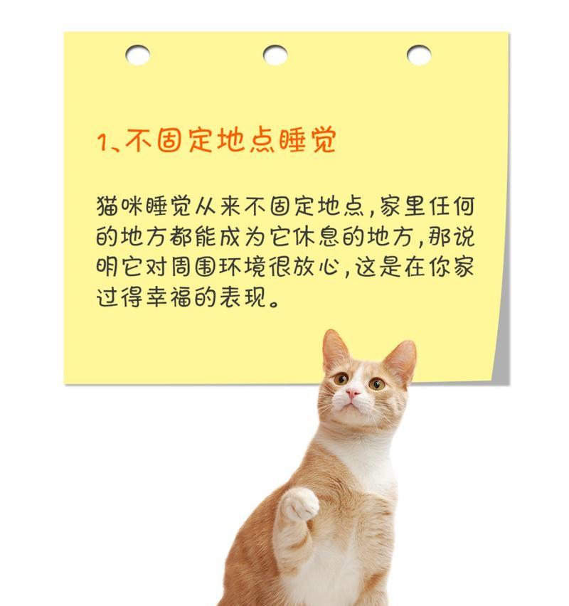 猫咪喜欢睡在你身上的6种含义揭秘（与你分享温暖和爱意，一只猫咪的隐藏信息）