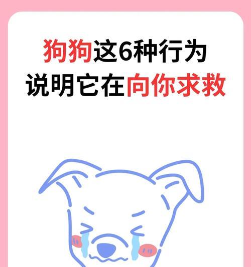 狗狗便秘（了解狗狗便秘的原因，帮助您更好地照顾您的爱宠）