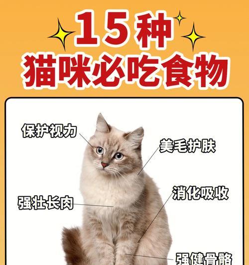 猫咪吃人类食物的健康指南（以猫咪能吃的20种人类食物，吃了更加健康！）