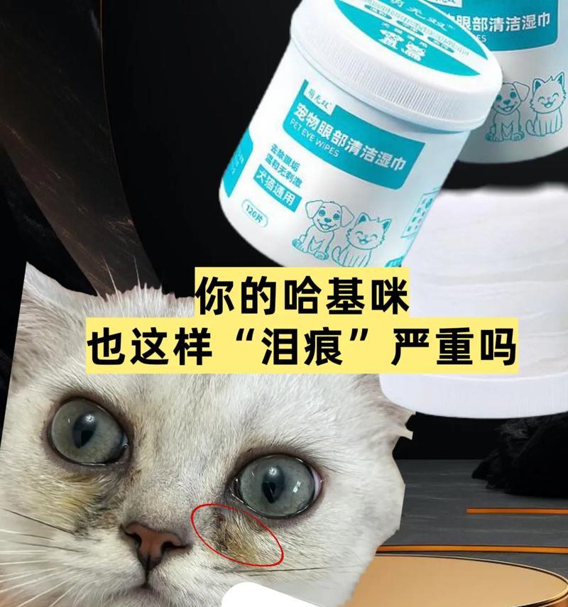 如何有效解决猫咪脸上的泪痕问题（探索原因与采取措施，让您的猫咪恢复明亮无泪的眼睛）