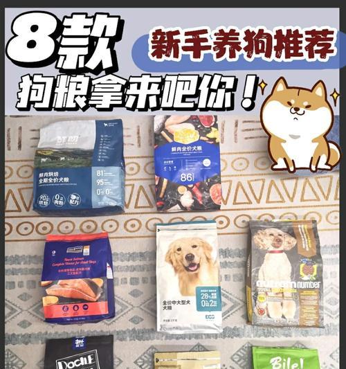 新手养宠指南（宠爱的第一步，给泰迪狗幼犬提供适当的食物和饮水）