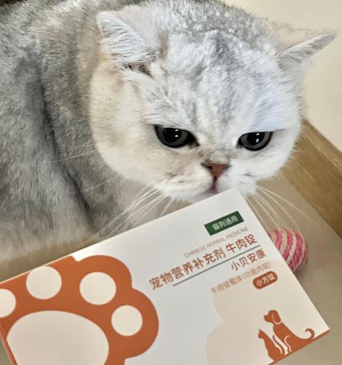 猫咪的恐惧源和应对方法（了解猫咪的恐惧，打造安全舒适的家）