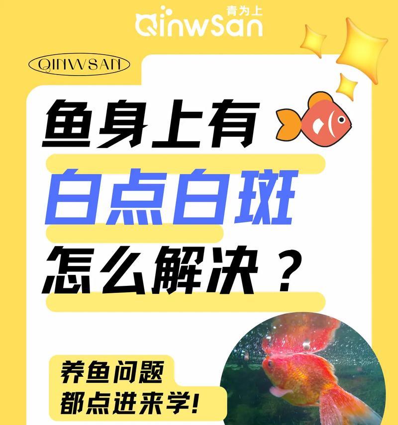 观赏鱼身体溃烂的治疗方法不一定是水霉病（鱼类疾病的多样性和个体化治疗需求）