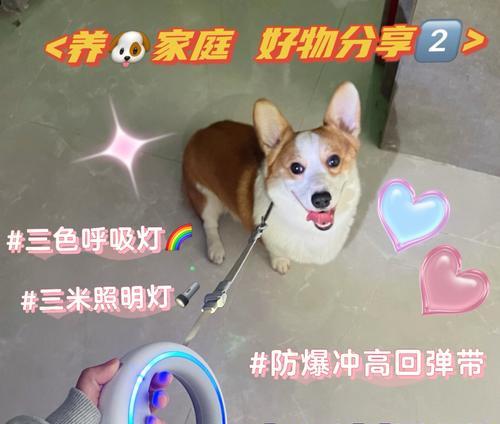 给狗狗最好的疼爱（为什么狗狗不愿意系狗绳？原因分析与解决方法）