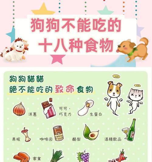 南瓜对狗狗的健康有益（南瓜——宠物狗的营养保健品）