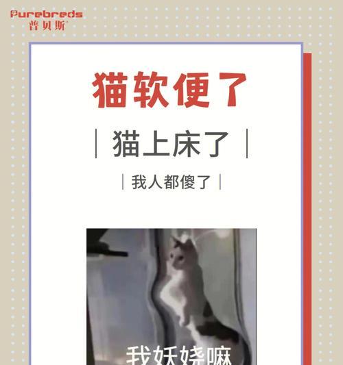 猫咪软便拉稀问题的原因与对策（探寻猫咪软便拉稀的成因以及正确的处理方法）